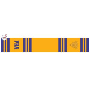 Past Master Sublimated Silk Scarf