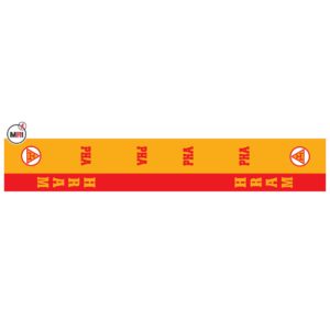 Holy Royal Arch Masonry Sublimated Silk Scarf