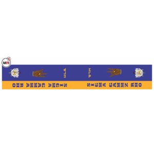 Sigma Gamma Rho Sublimated Silk Scarf