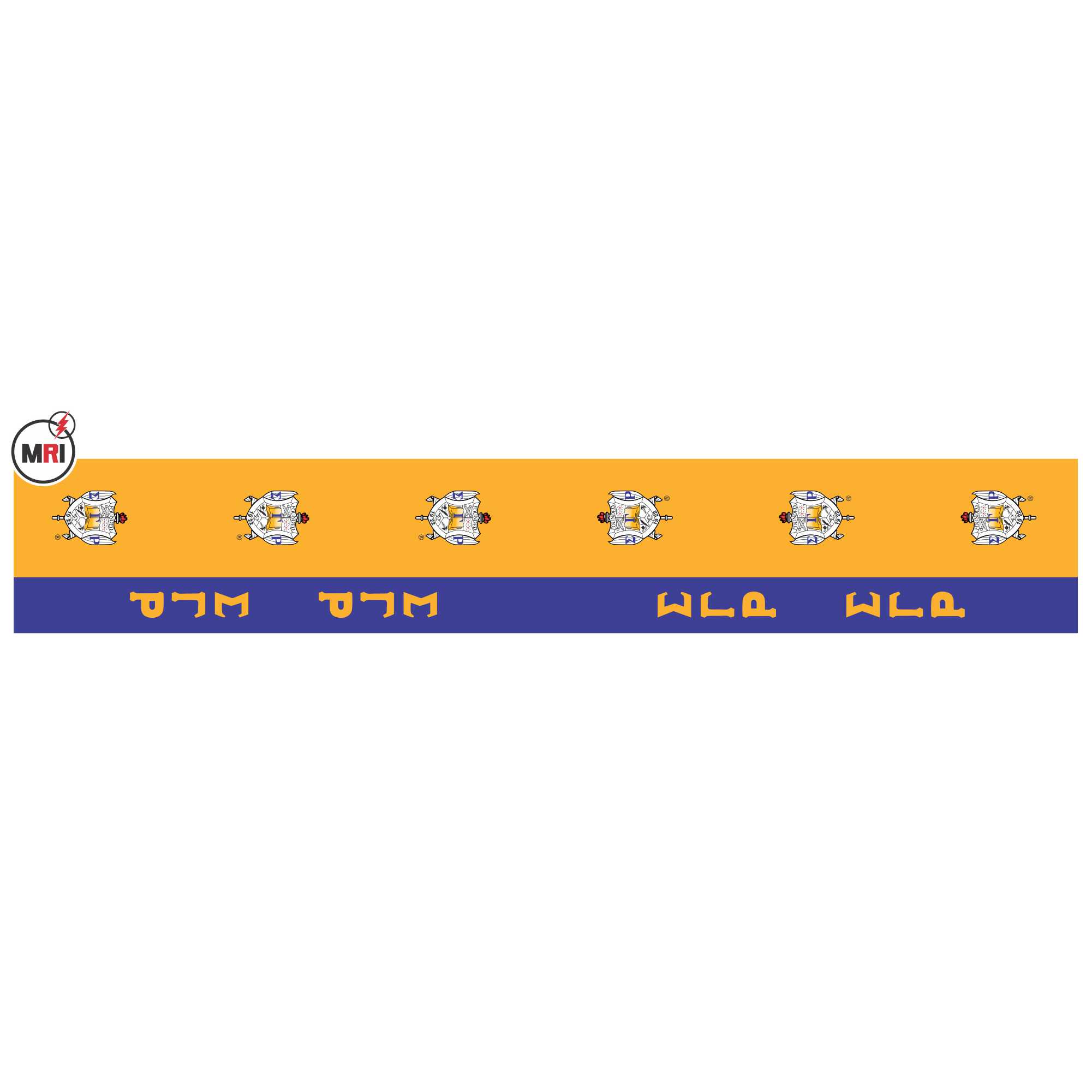 Sigma Gamma Rho Sublimated Silk Scarf