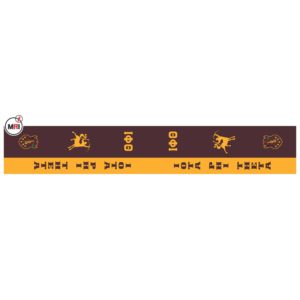 Iota Phi Theta Sublimated Silk Scarf