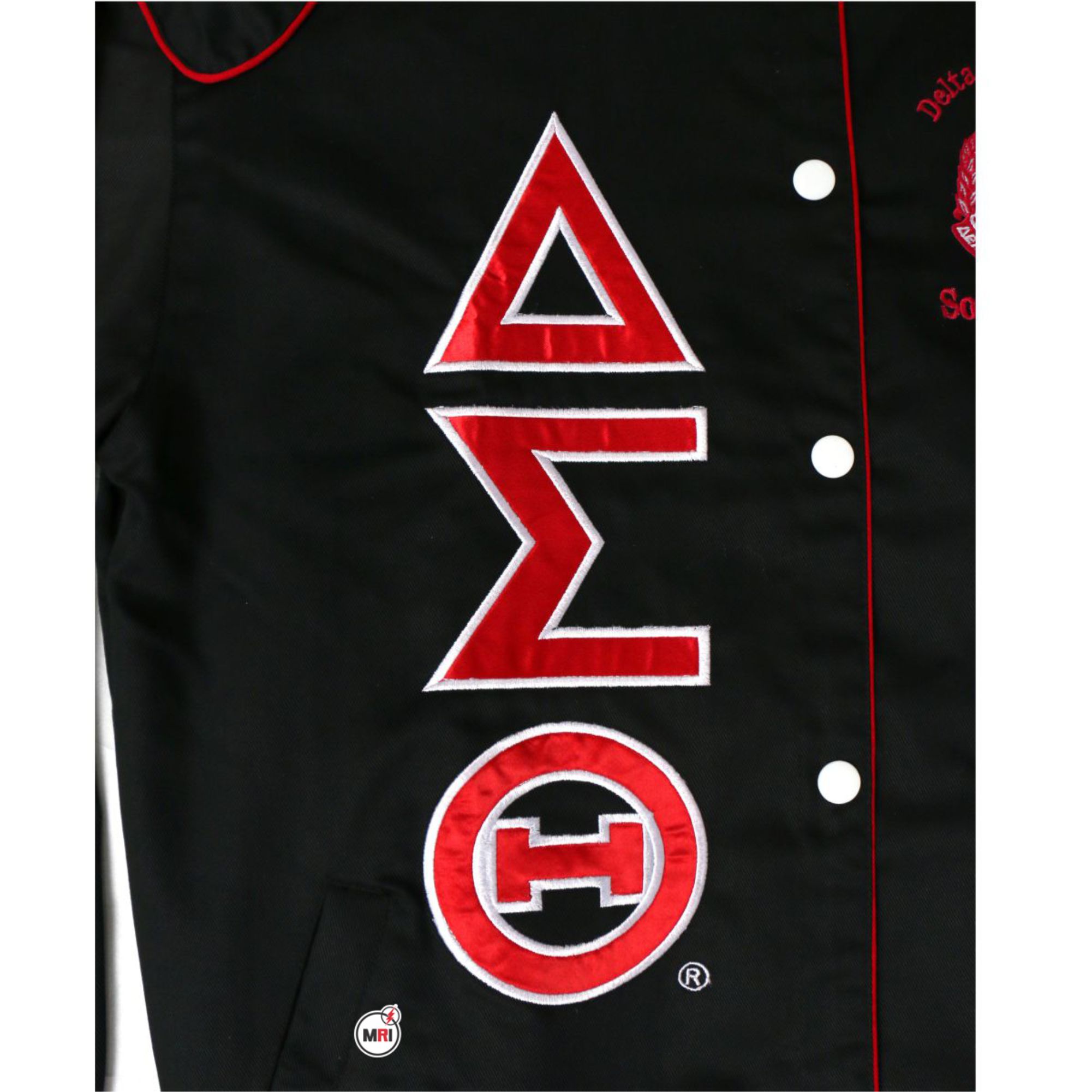Delta Sigma Theta Racecar Jacket - Image 11