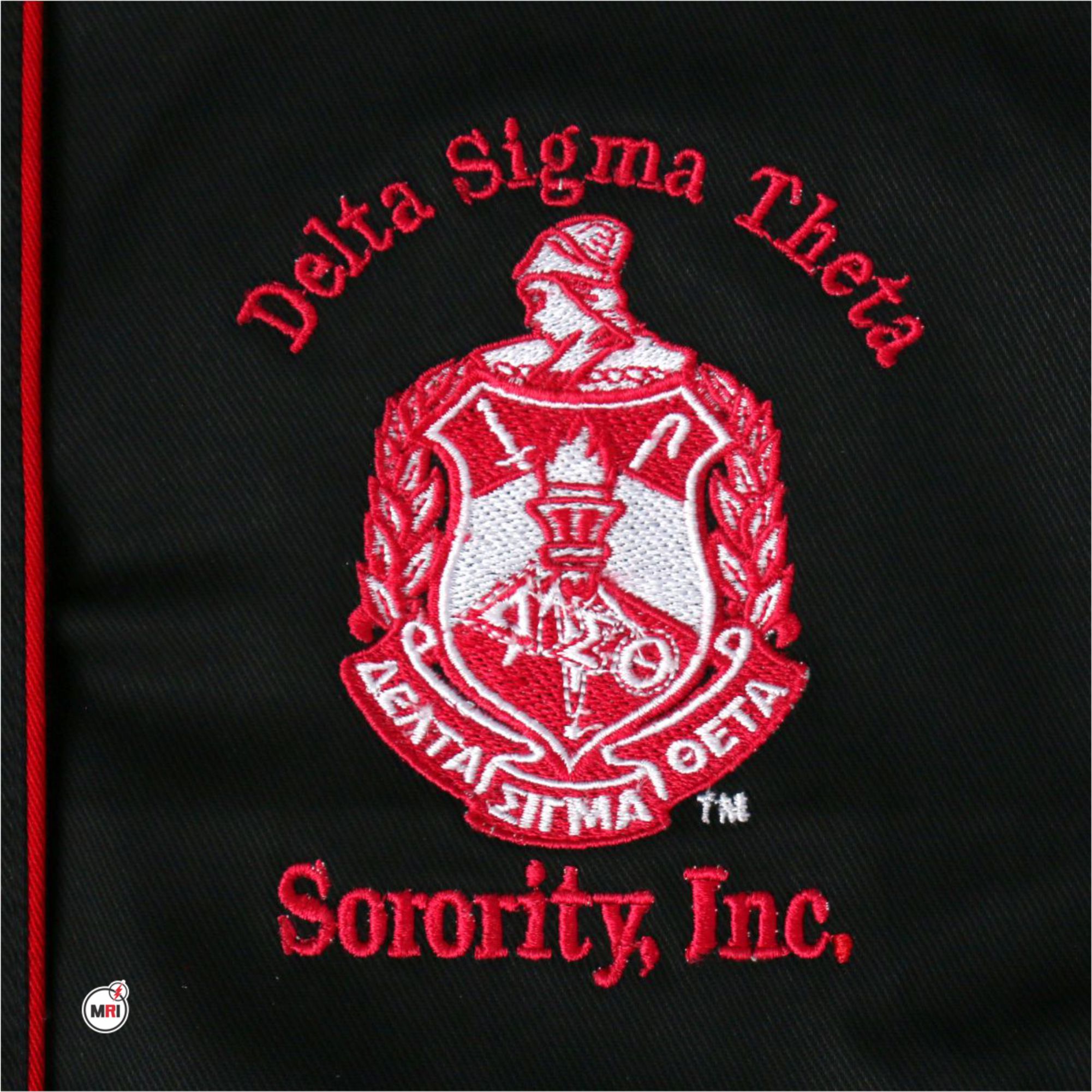 Delta Sigma Theta Racecar Jacket - Image 7