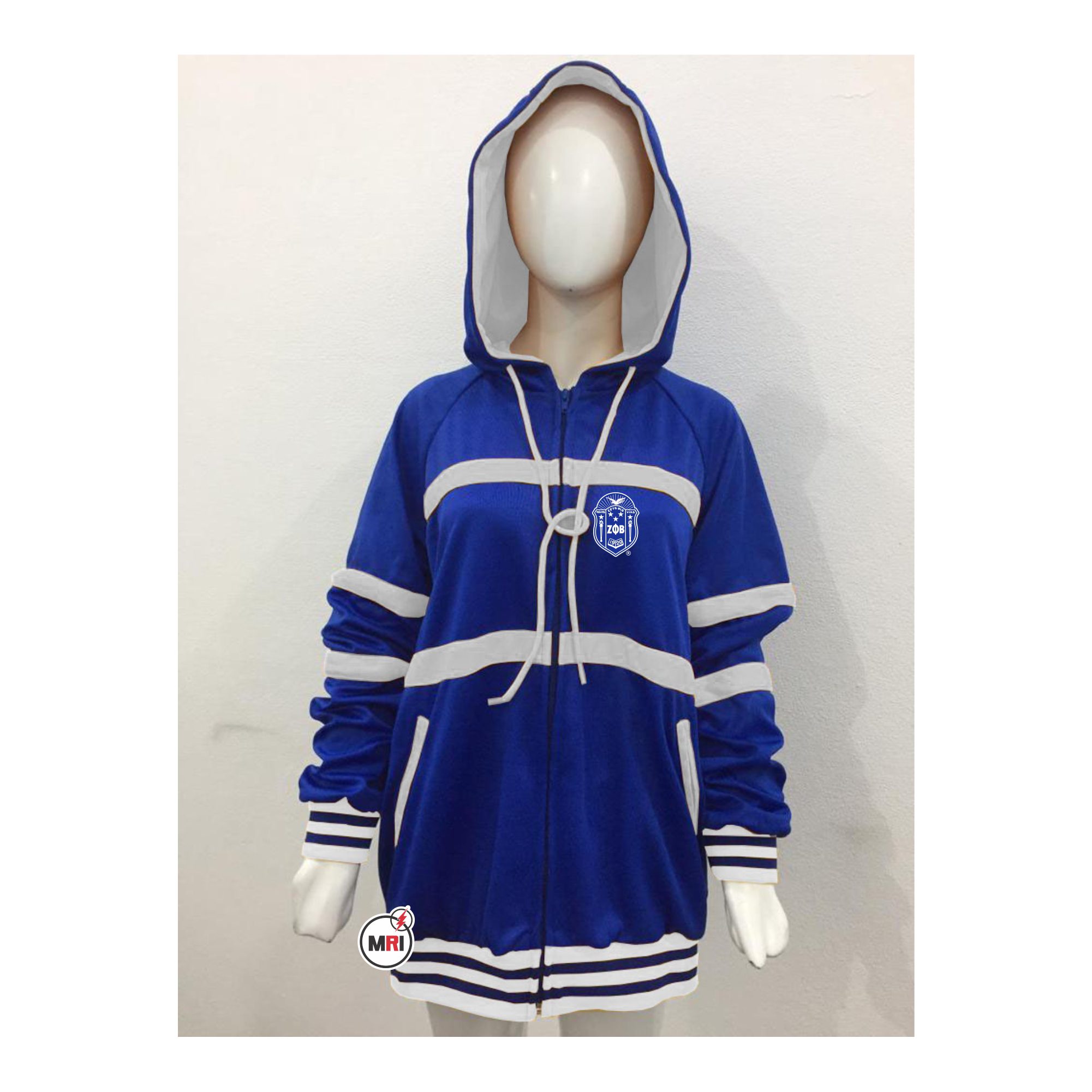 Zeta Phi Beta Hoodie
