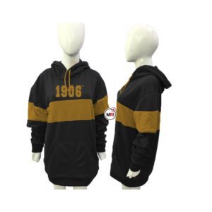 Alpha Phi Alpha Hoodie