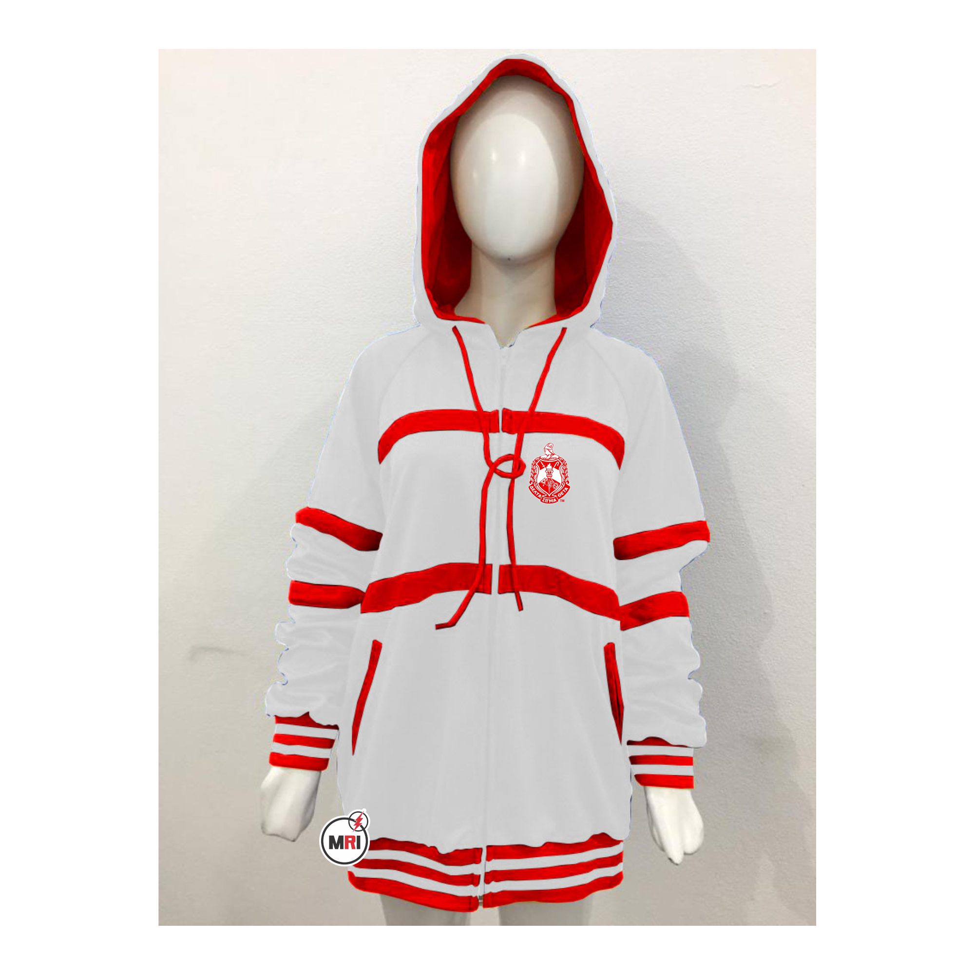 Delta Sigma Theta Hoodie