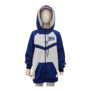 Zeta Phi Beta Hoodie