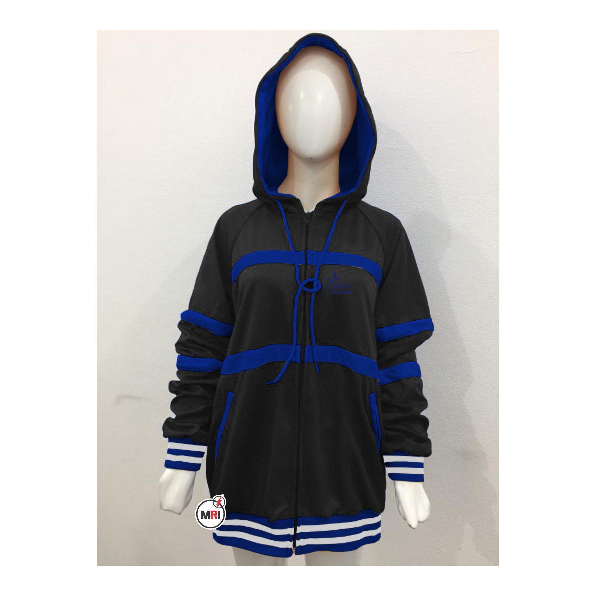 Zeta Phi Beta Hoodie