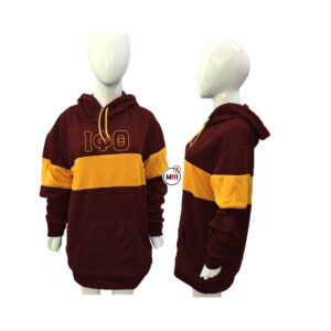 Iota Phi Theta Hoodie