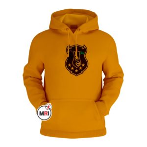 Iota Phi Theta Hoodie