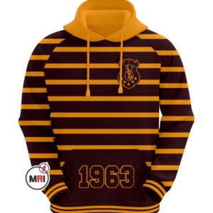 Iota Phi Theta Hoodie