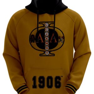 Alpha Phi Alpha Hoodie