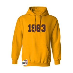 Iota Phi Theta Hoodie