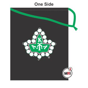 Alpha Kappa Alpha Shoe Cover