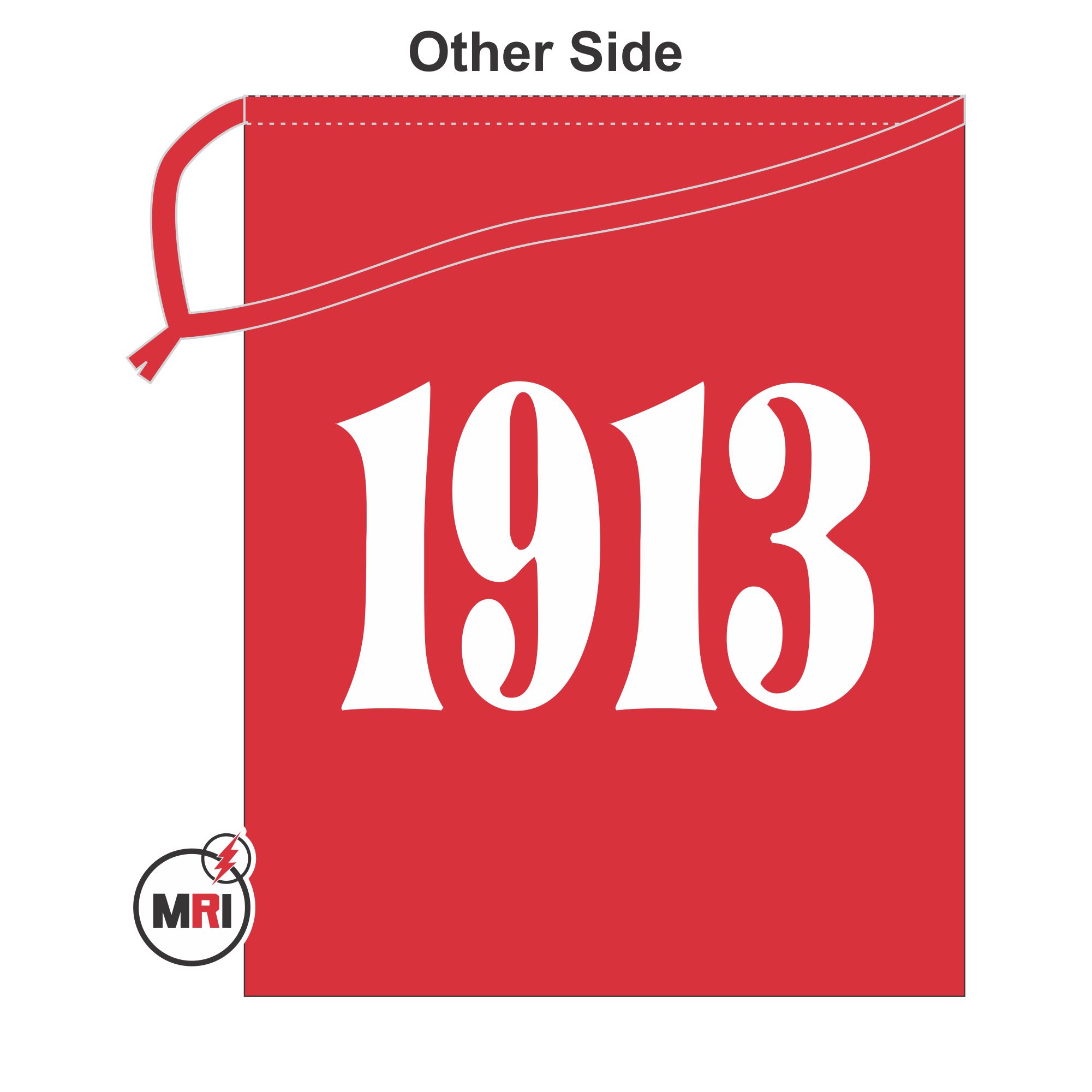 Delta Sigma Theta Shoe Cover - Image 2