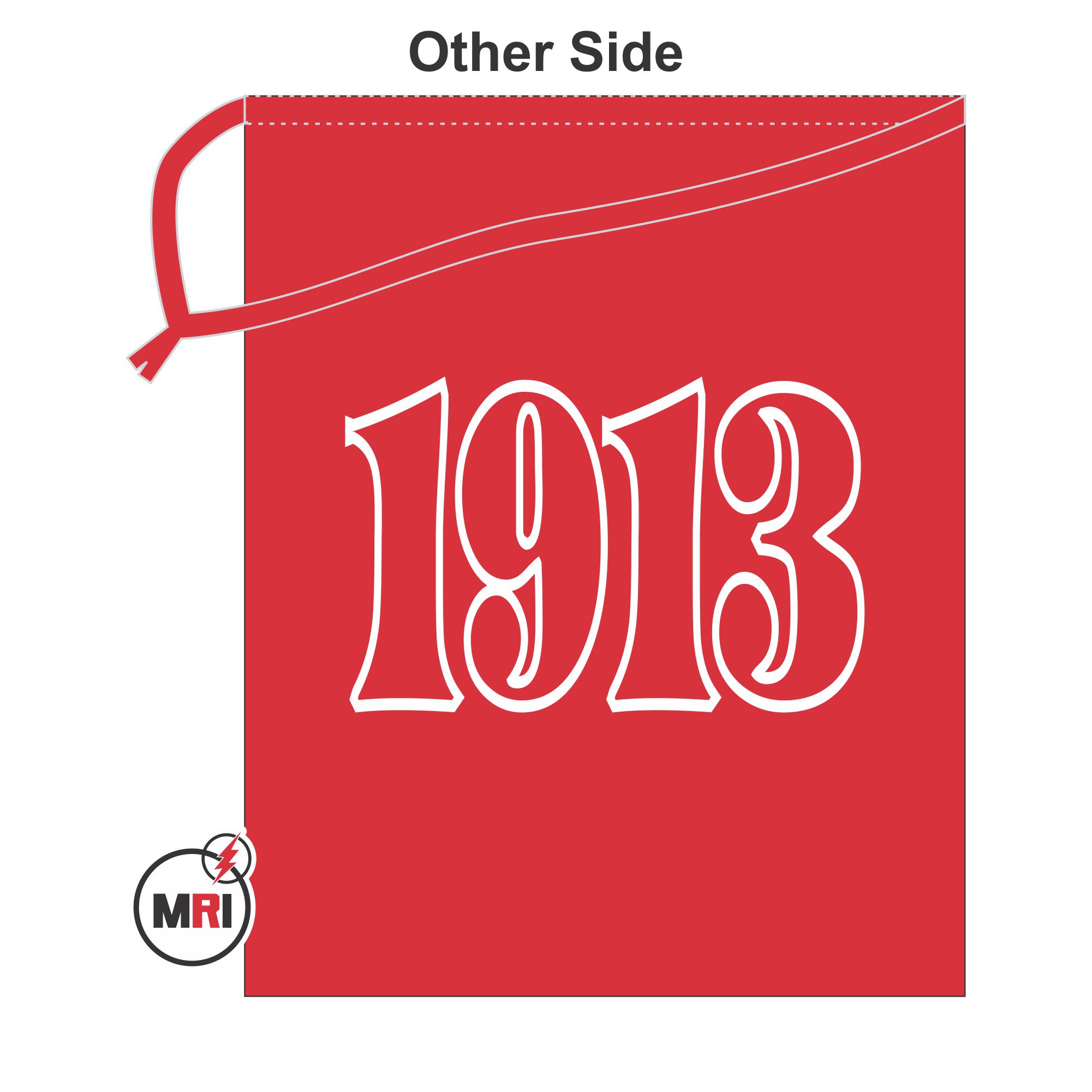 Delta Sigma Theta Shoe Cover - Image 2