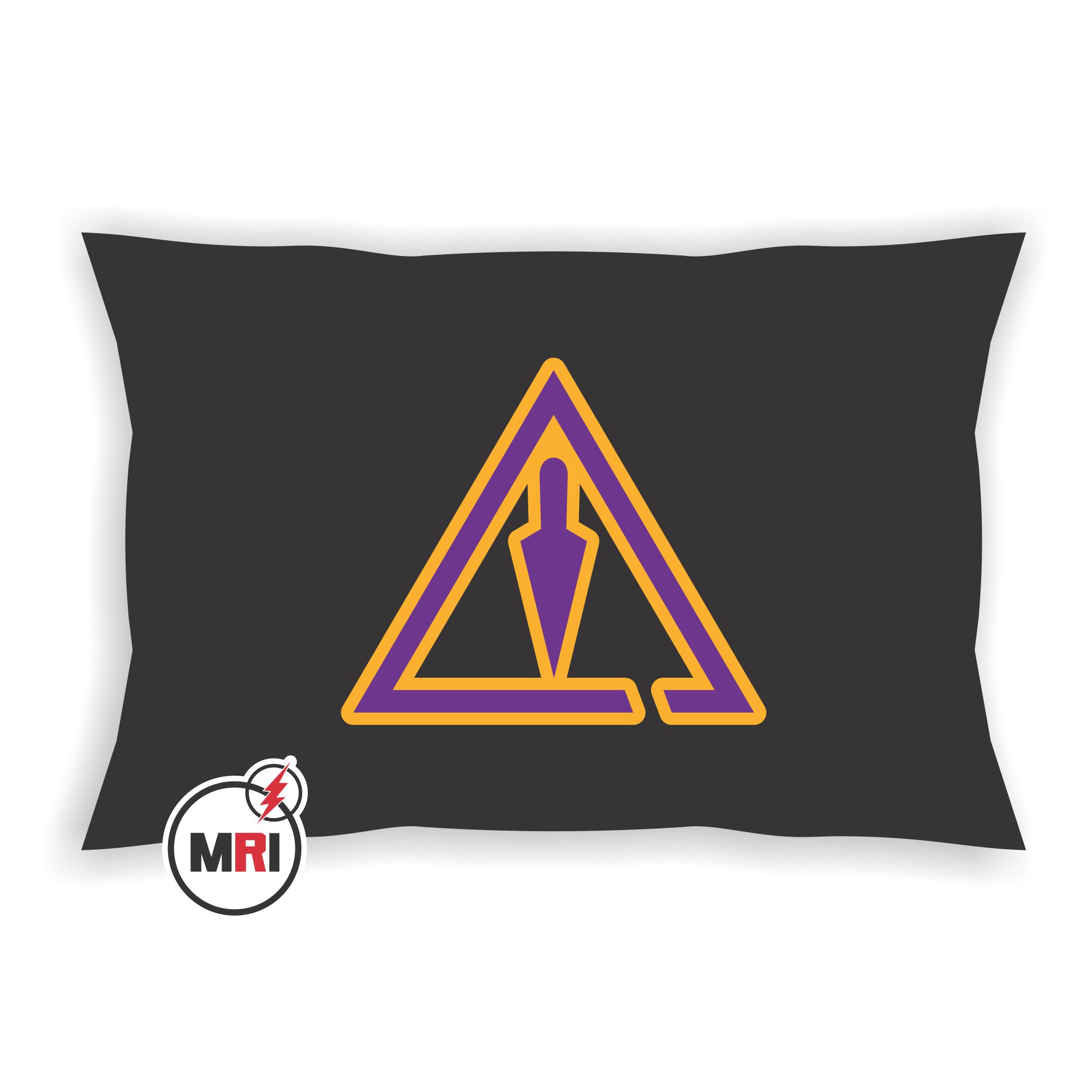 Order of Royal and Select Master Pillow Cover