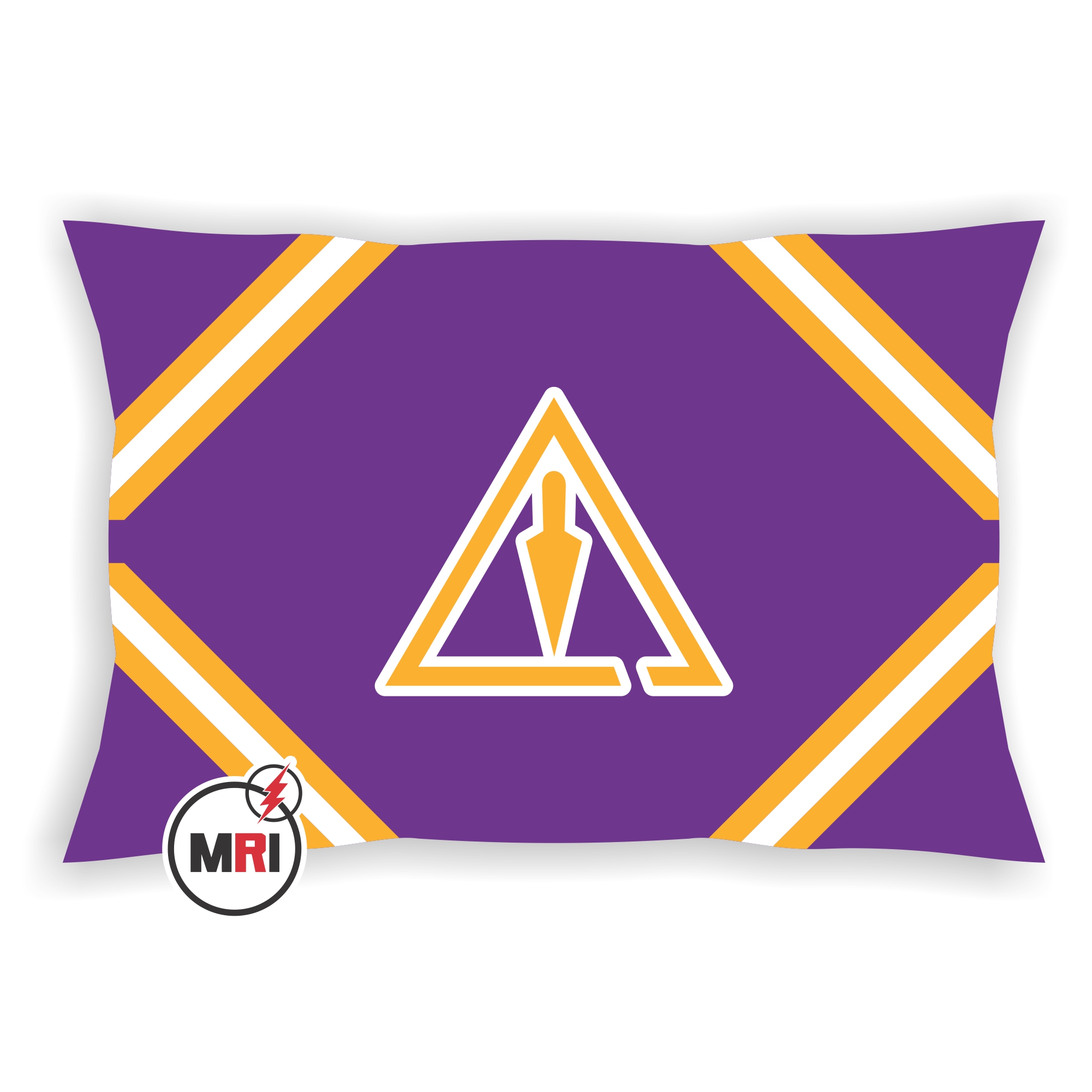 Order of Royal and Select Master Pillow Cover