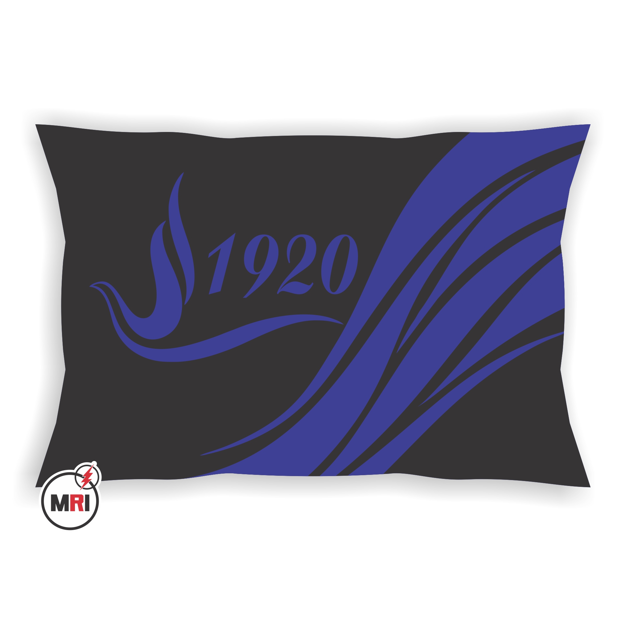 Zeta Phi Beta Pillow Cover