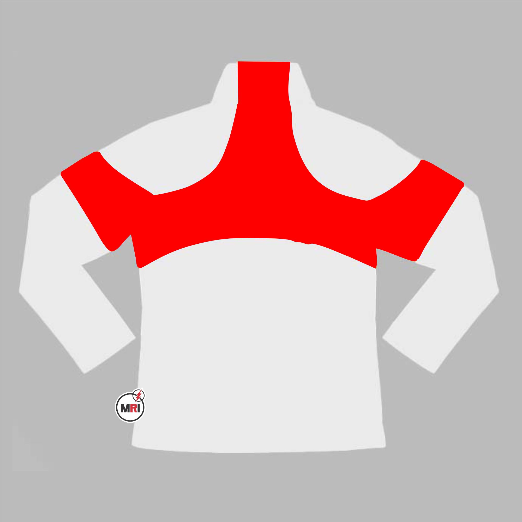 Delta Sigma Theta Windbreaker - Image 2