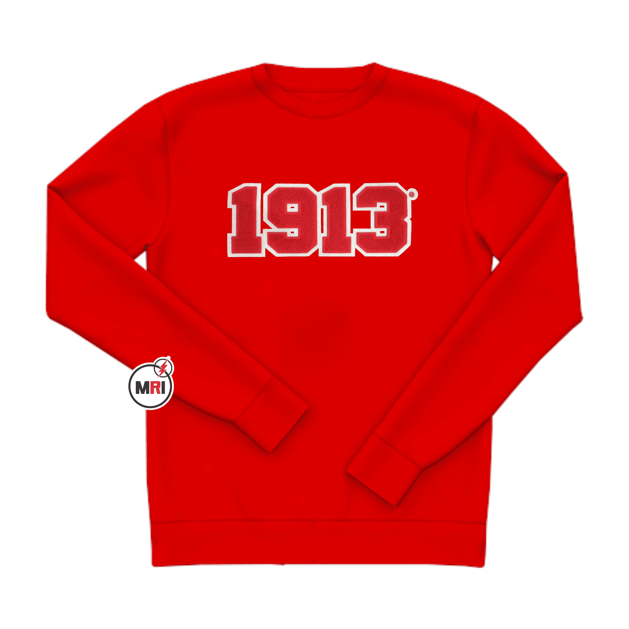 Delta Sigma Theta Sweatshirt