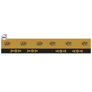 Alpha Phi Alpha Sublimated Silk Scarf