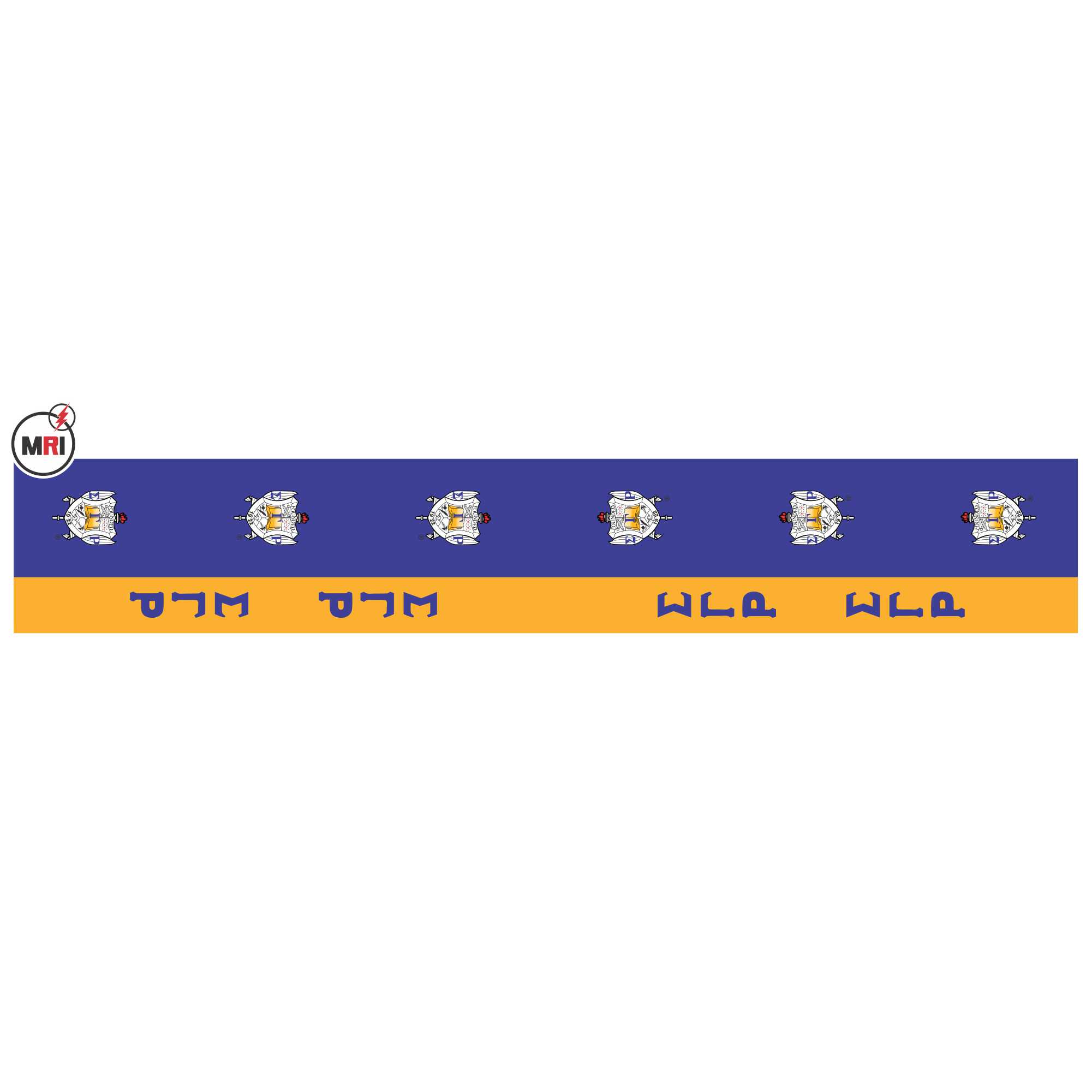 Sigma Gamma Rho Sublimated Silk Scarf