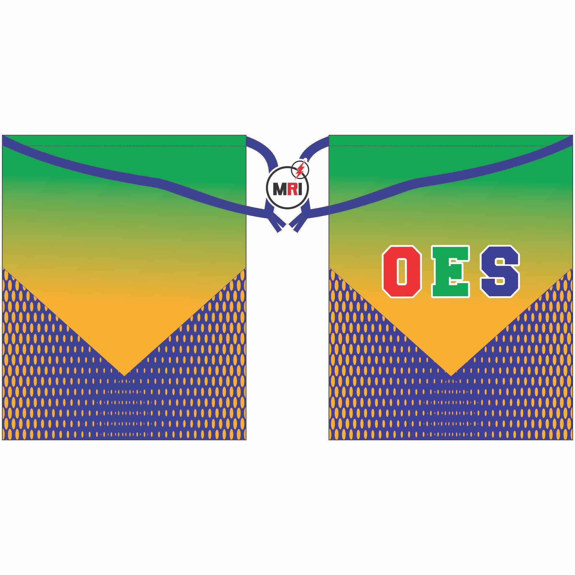 Order Of The Eastern Star Shoe Cover
