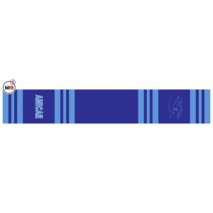 Zeta Amicae Sublimated Silk Scarf