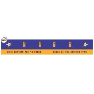 Order Of The Eastern Star Sublimated Silk Scarf