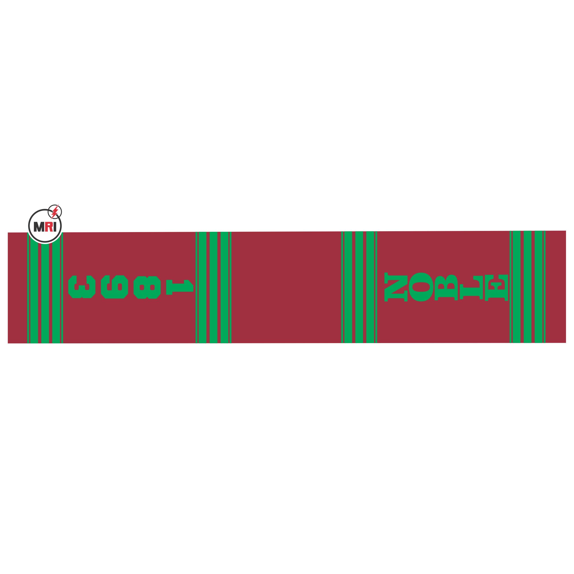 Shriners Sublimated Silk Scarf