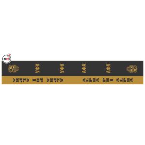 Alpha Phi Alpha Sublimated Silk Scarf