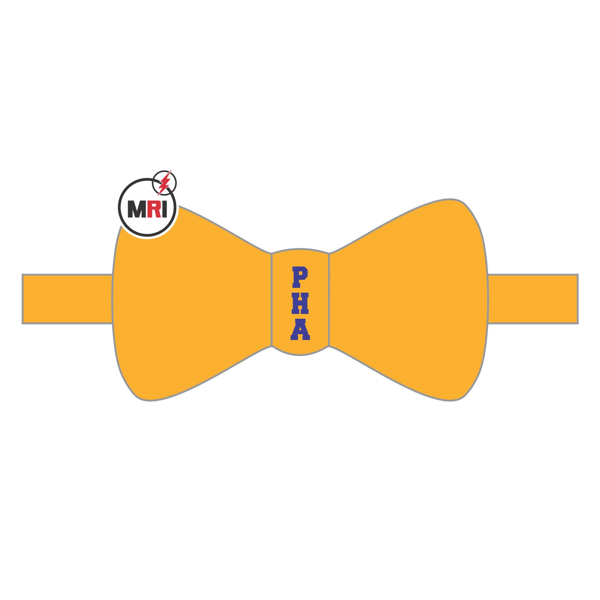 Order Of The Royal And Select Master Sublimated Bow Tie