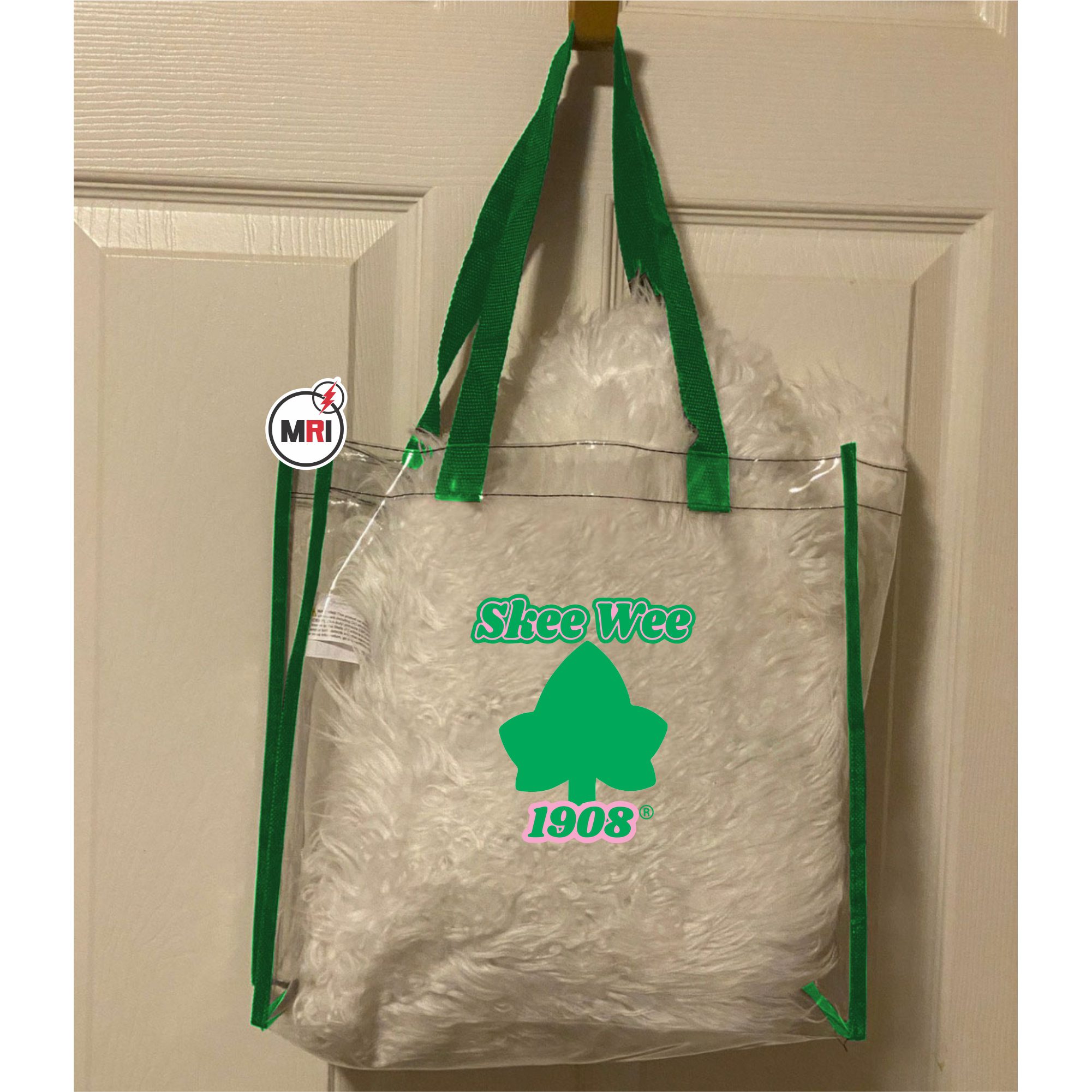 Alpha Kappa Alpha Clear Bag