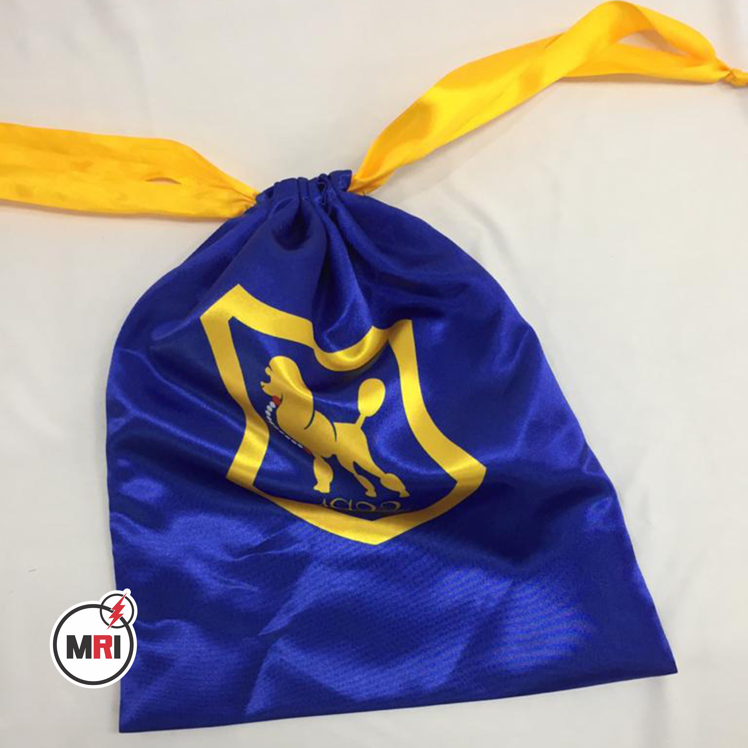 Sigma Gamma Rho Silk Shoe Bag - Image 3
