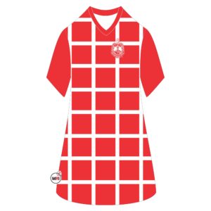 Delta Sigma Theta V-Neck Women Dress