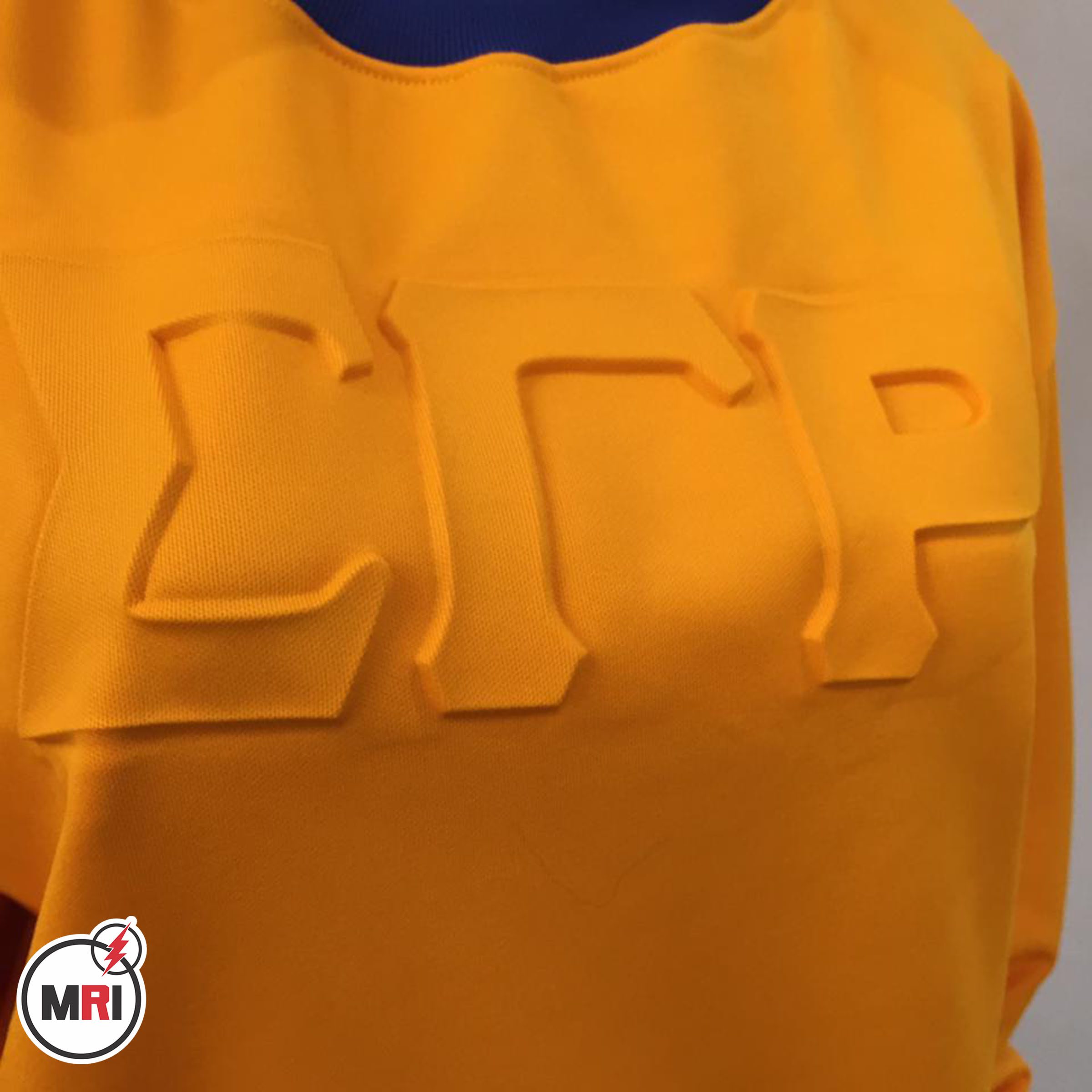 Sigma Gamma Rho Sweatshirt - Image 2