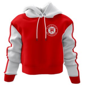 Heroines Of Jericho Crop Hoodie
