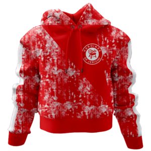 Heroines Of Jericho Crop Hoodie