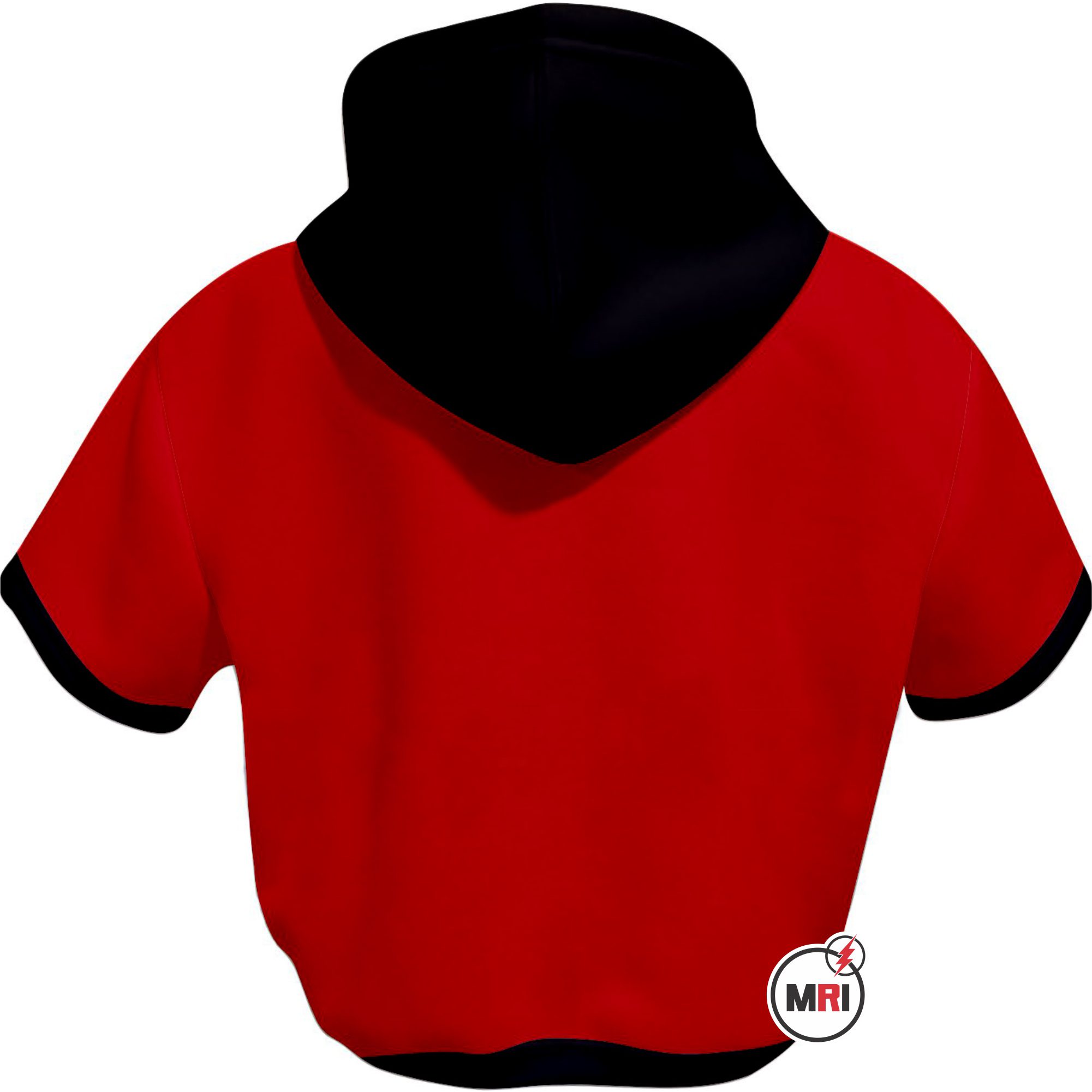 Delta Sigma Theta Crop Hoodie - Image 2
