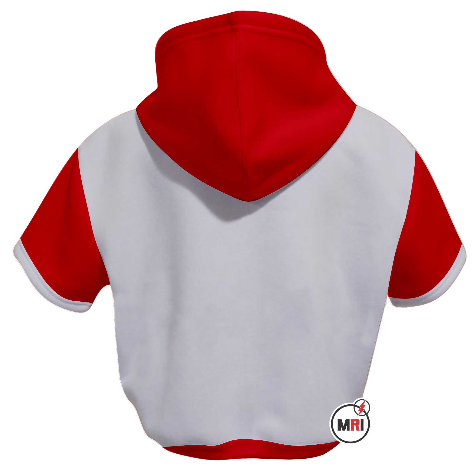 Heroines Of Jericho Crop Hoodie - Image 2