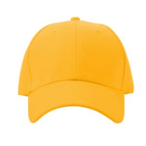 Baseball Hat
