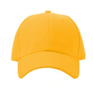 Baseball Hat