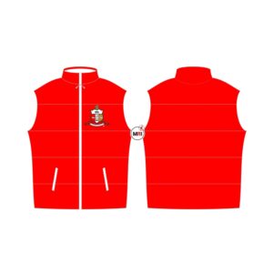 Vest